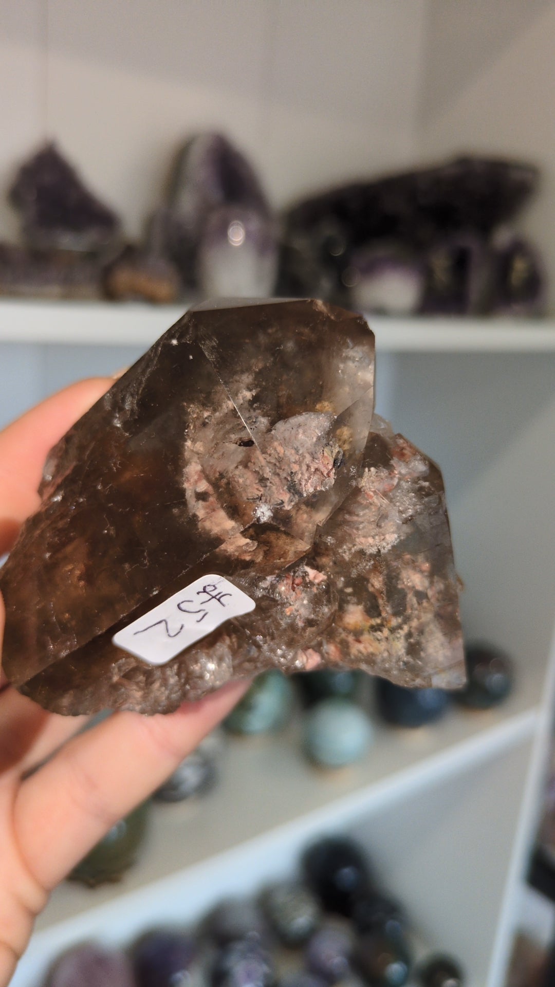 Smokey with lodolite ✨