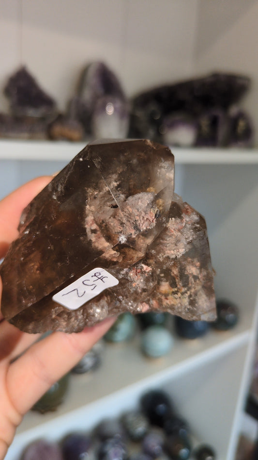 Smokey with lodolite ✨