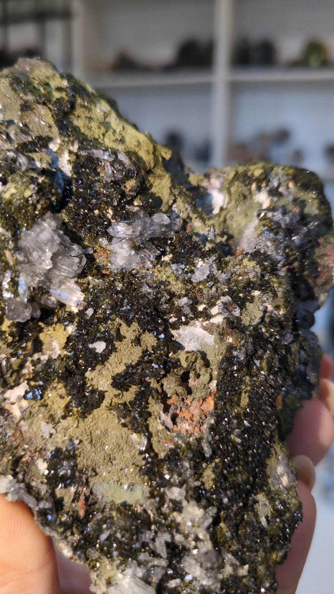 Large Epidote & Quartz ✨