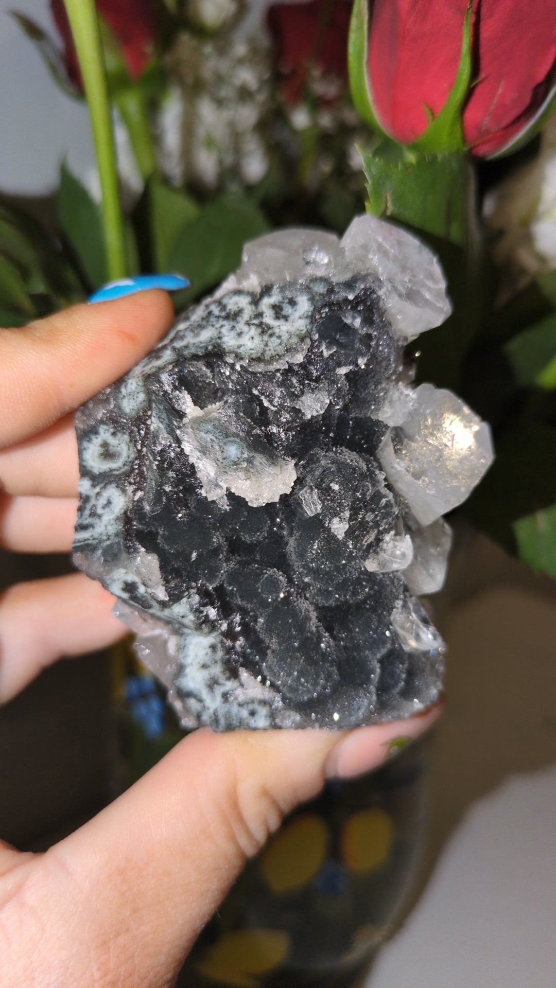Apophyllite on Black chalcedony ✨ F